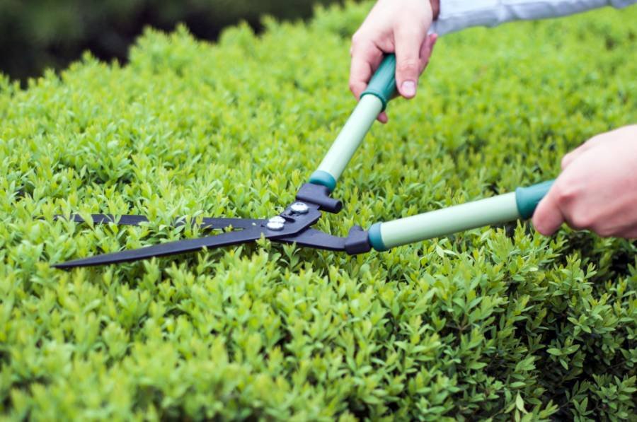 Artificial Grass — Xpert Hands, Dubai