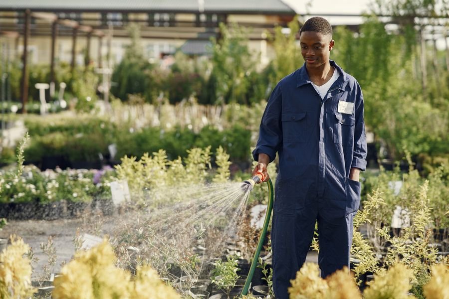 Hard Landscaping & Paving